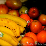 IMG_2952.jpg