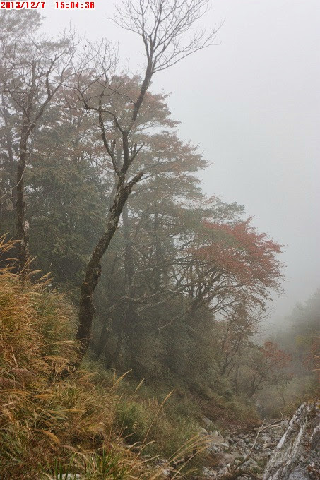 2013_1207_150436 2013_1207_150436