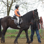 IMGP0444.JPG