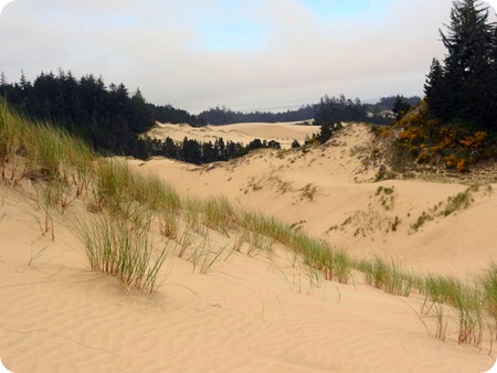 Oregon Dunes