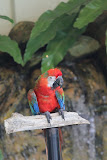 IMG_8486.JPG