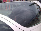 IMG_20111003_141232.jpg