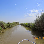 IMG_5729.JPG