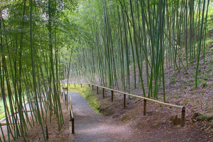 [120427_Hakone_28%255B2%255D.jpg]