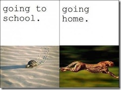 Students while going to school and coming back to home Students while going to school and coming back to home