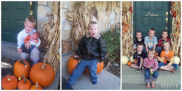 corn.stalks