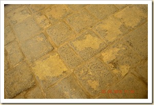 DSC_0678 DSC_0678
