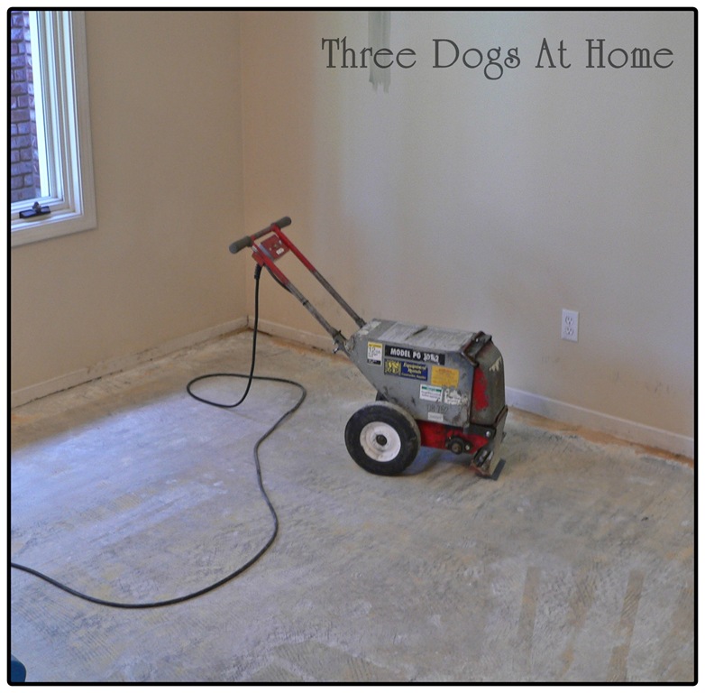 [house-stuff-0013.jpg]
