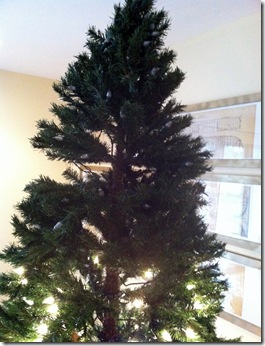 Christmas 2011_12