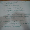 DSC00563.JPG
