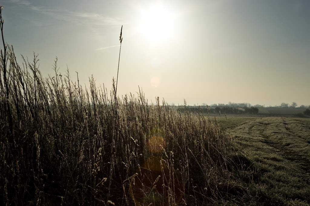 [Frosty-Mornings-in-the-Countryside%255B3%255D.jpg]