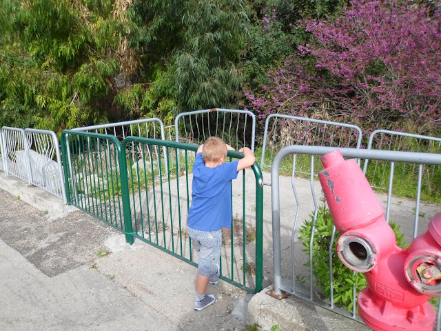 SAM_2159.JPG?imgmax=640