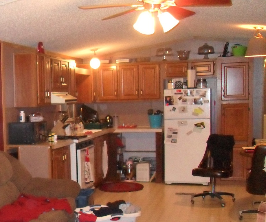 [SDC138374.jpg]