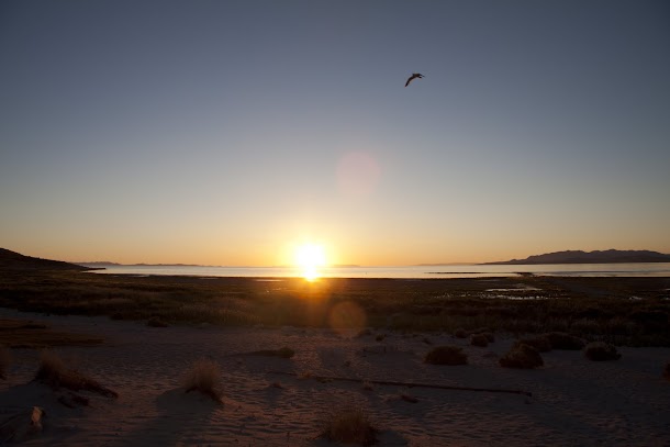 Sunset with Bird on Antelope Island.jpg Sunset with Bird on Antelope Island.jpg