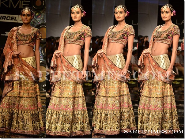 jj_Valaya_Designer_Saree_LFW2011 (6)