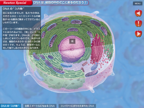 mza_4363989606869347847.480x480-75.jpg Mza 4363989606869347847 480x480 75