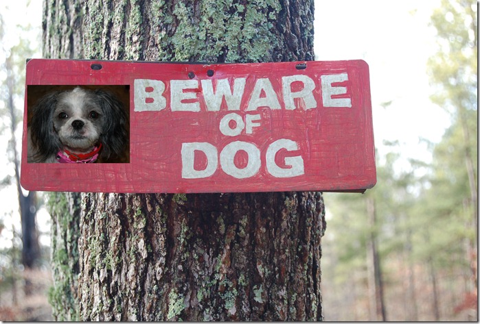 Beware of Dog with Hope