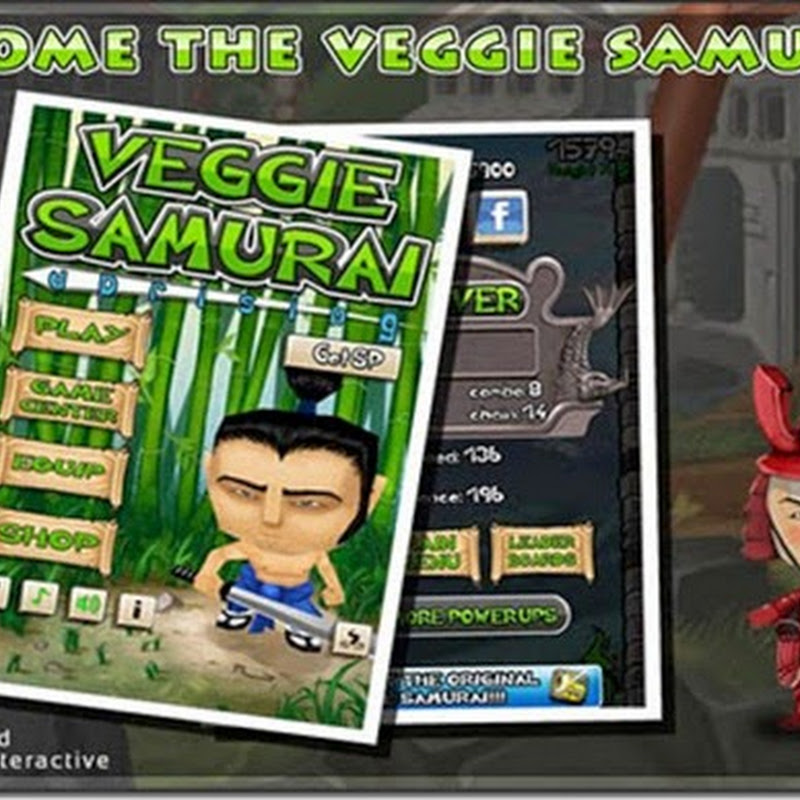 Moded/Hacked: Veggie Samurai Uprising