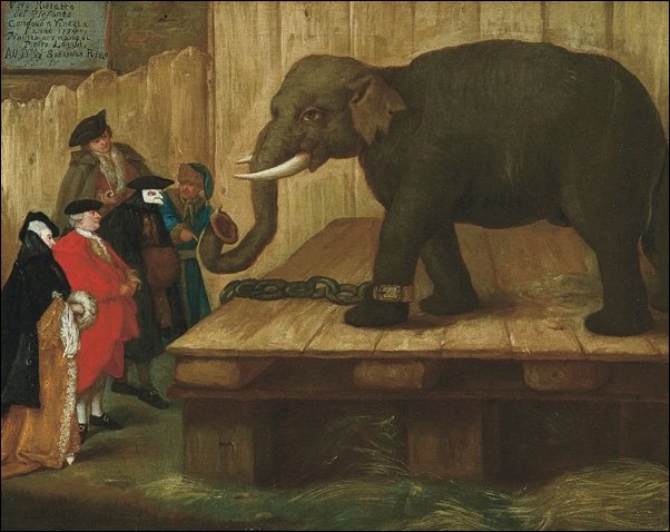 Pietro Longhi, L'éléphant Pietro Longhi, L'éléphant