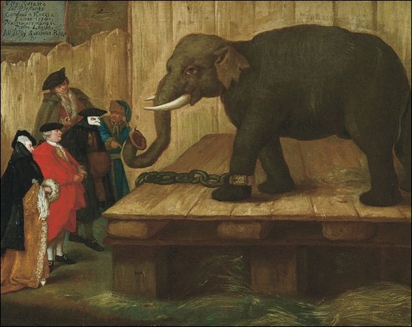 Pietro Longhi, L'éléphant