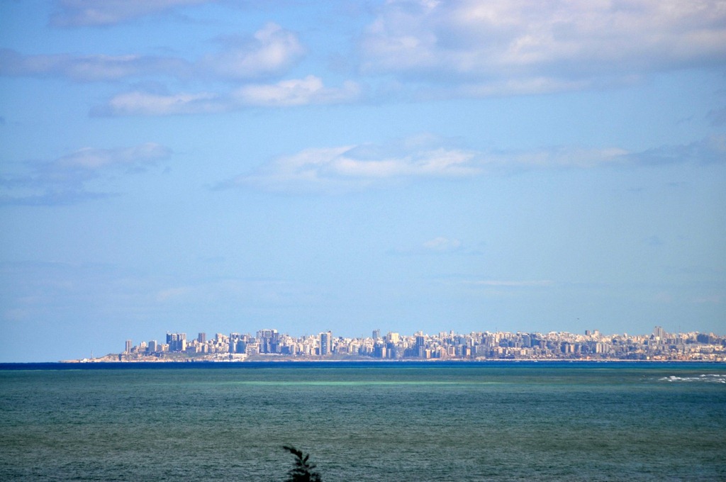 [DSC_6600.jpg]