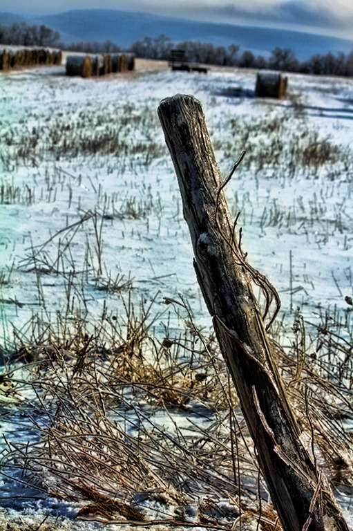 [fence%2520post%255B5%255D.jpg]