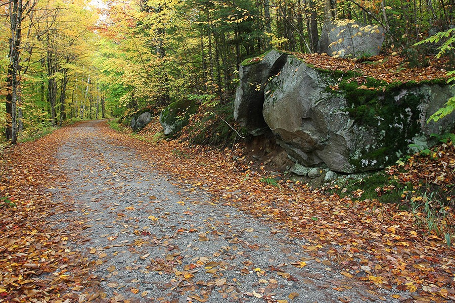 [091009_forestroad2%255B2%255D.jpg]