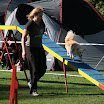 Agility - Turnier 2010 093.jpg