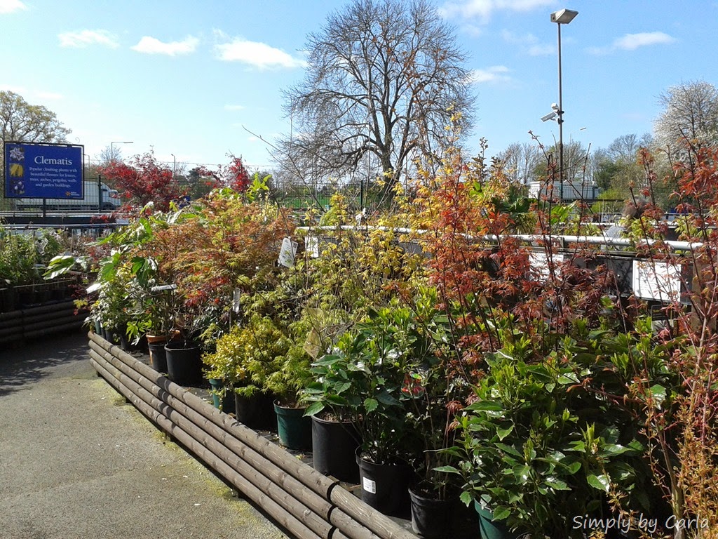 [20140413_111151%255B8%255D.jpg]