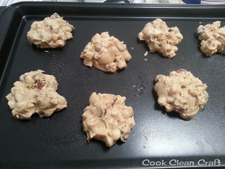 Incaberry Cookies (2)