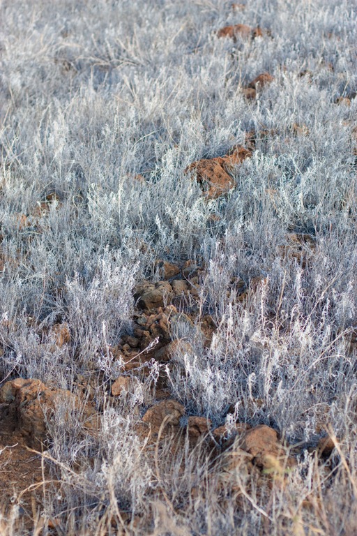 [20121212-IMG_25093.jpg]