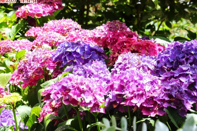 2014_0707_102458 2014_0707_102458