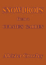 Snowdrops From A Curate Garden