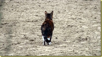 20140905153450-(1) 20140905153450-(1)