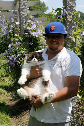Good thing that Wilmer is there to take Vivaldi home.