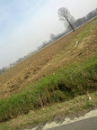 IMG_20130217_125706.jpg