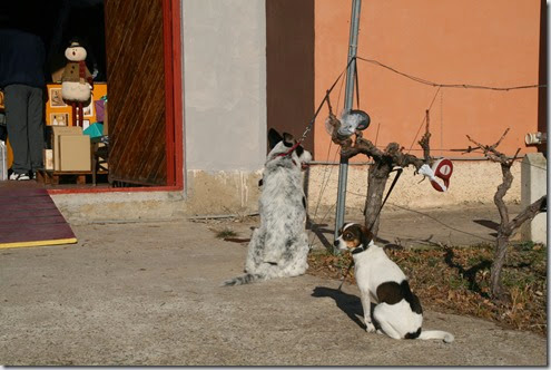 IMG_3304 (1) IMG_3304 (1)