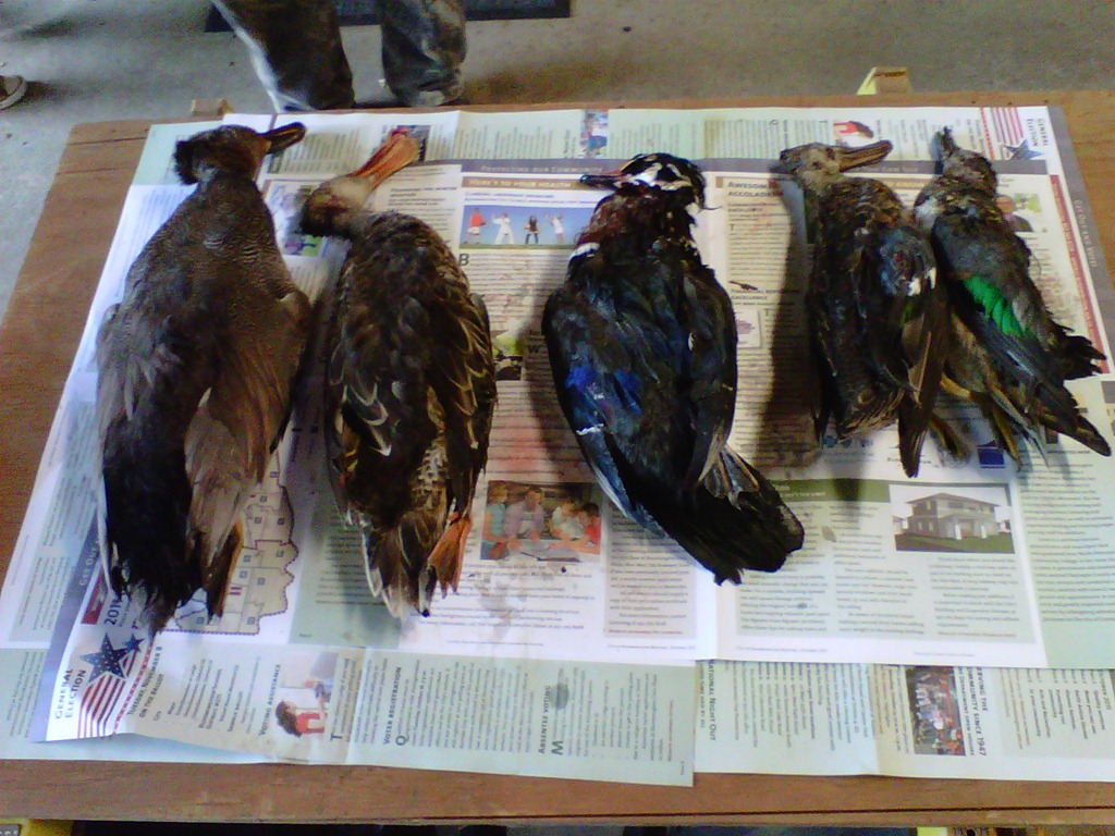 [IMG00289-20111013-1112%255B3%255D.jpg]