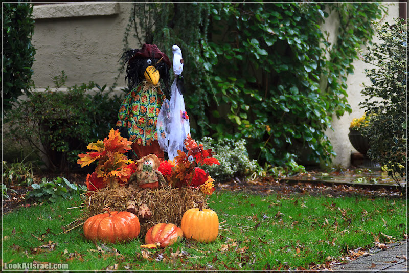 Америка 2.0 / Нью Йорк   Хэллоуин в Forest Hills (foto america  фото праздник интересно new york  20111019 usa ny forest hills halloween 007 9110)