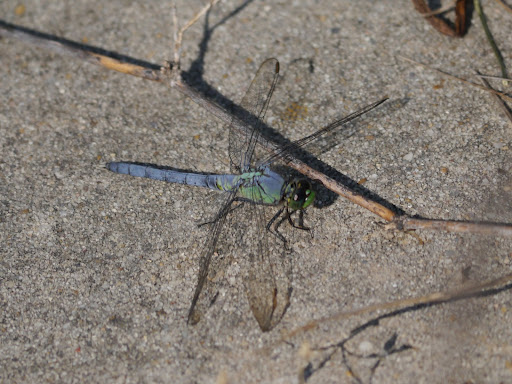 P1070657