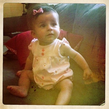 IMG_2528 IMG_2528
