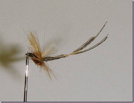clip_image018 clip_image018