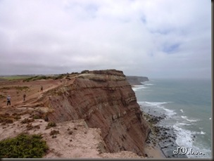 P1100090 P1100090
