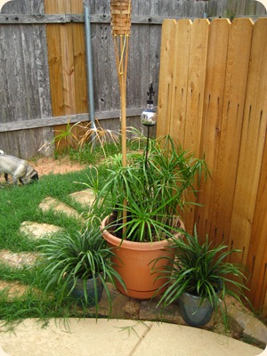 IMG_3470 IMG_3470