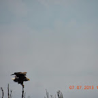 DSCN9664.JPG