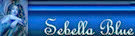 signature (1) signature (1)