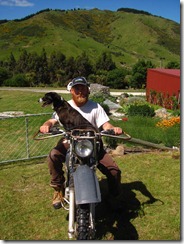 IMG_5275 IMG_5275