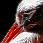 Der Storch – eine Manipulation eines Fotos