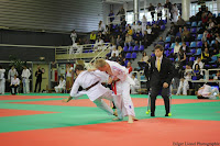 IMG_2289.jpg