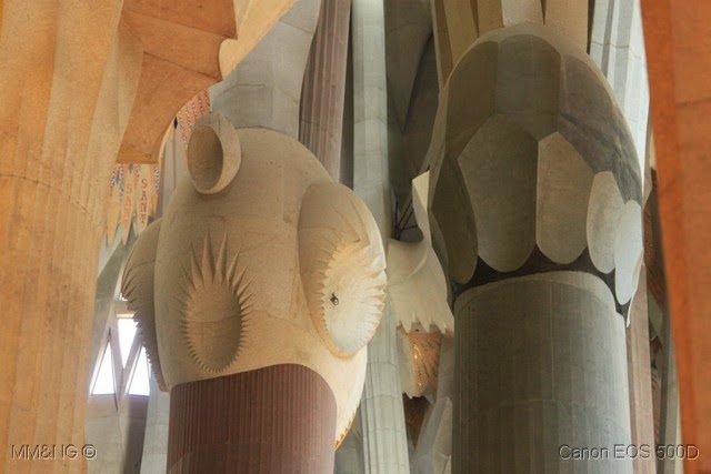 [IMG_9645%255B4%255D.jpg]